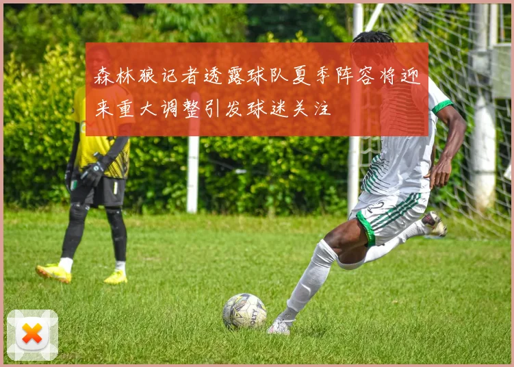 森林狼记者透露球队夏季阵容将迎来重大调整引发球迷关注